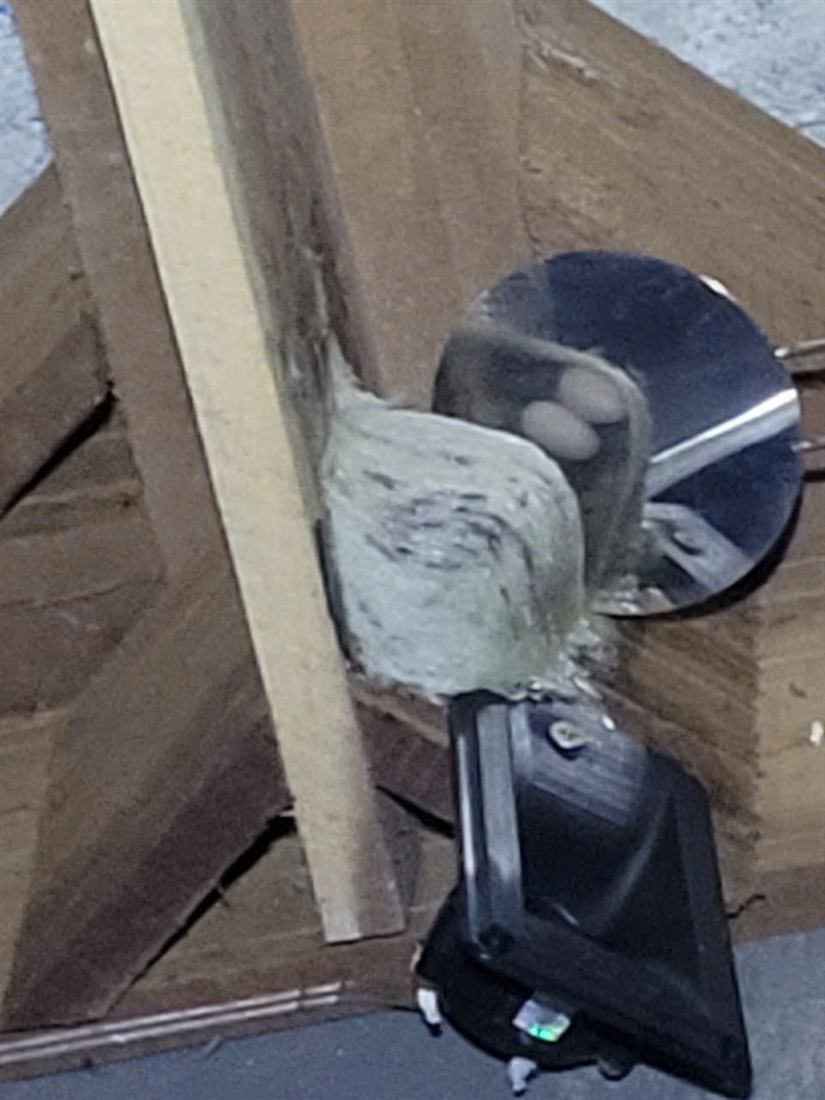 Website và mạng xã hội: kênh bán hàng không thể thiếu của ngành yến